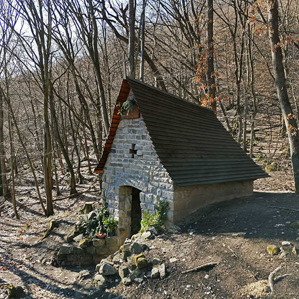 Rövid túra a Mogyoró-hegyre és az Áprily-völgybe