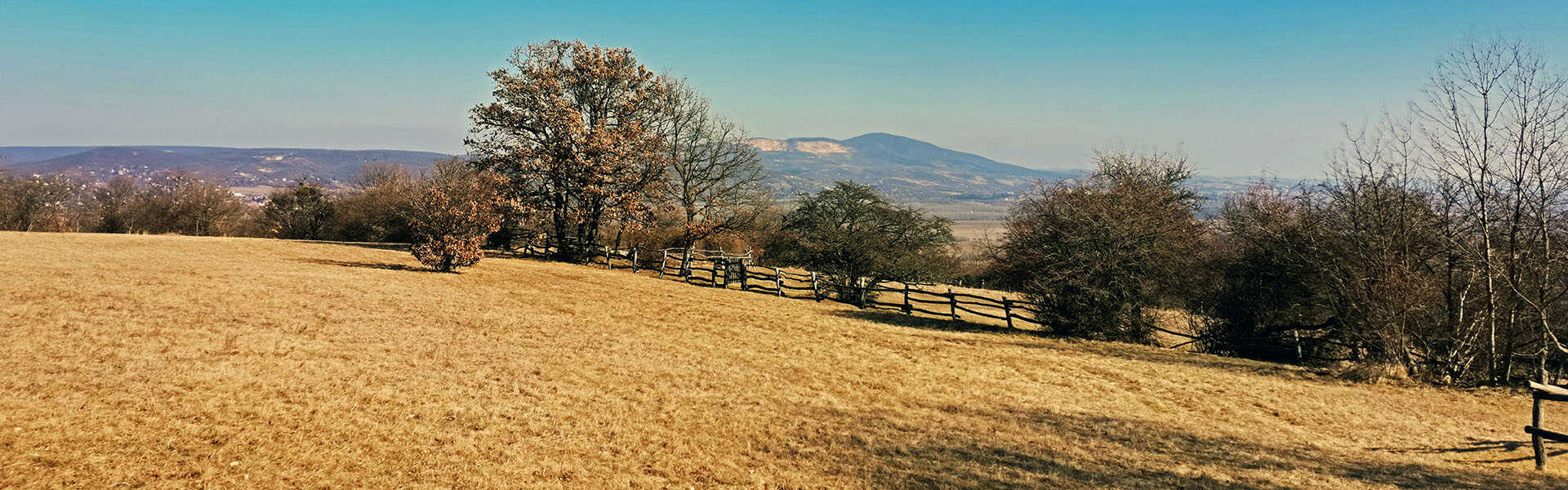 Rövid túra a Mogyoró-hegyre és az Áprily-völgybe