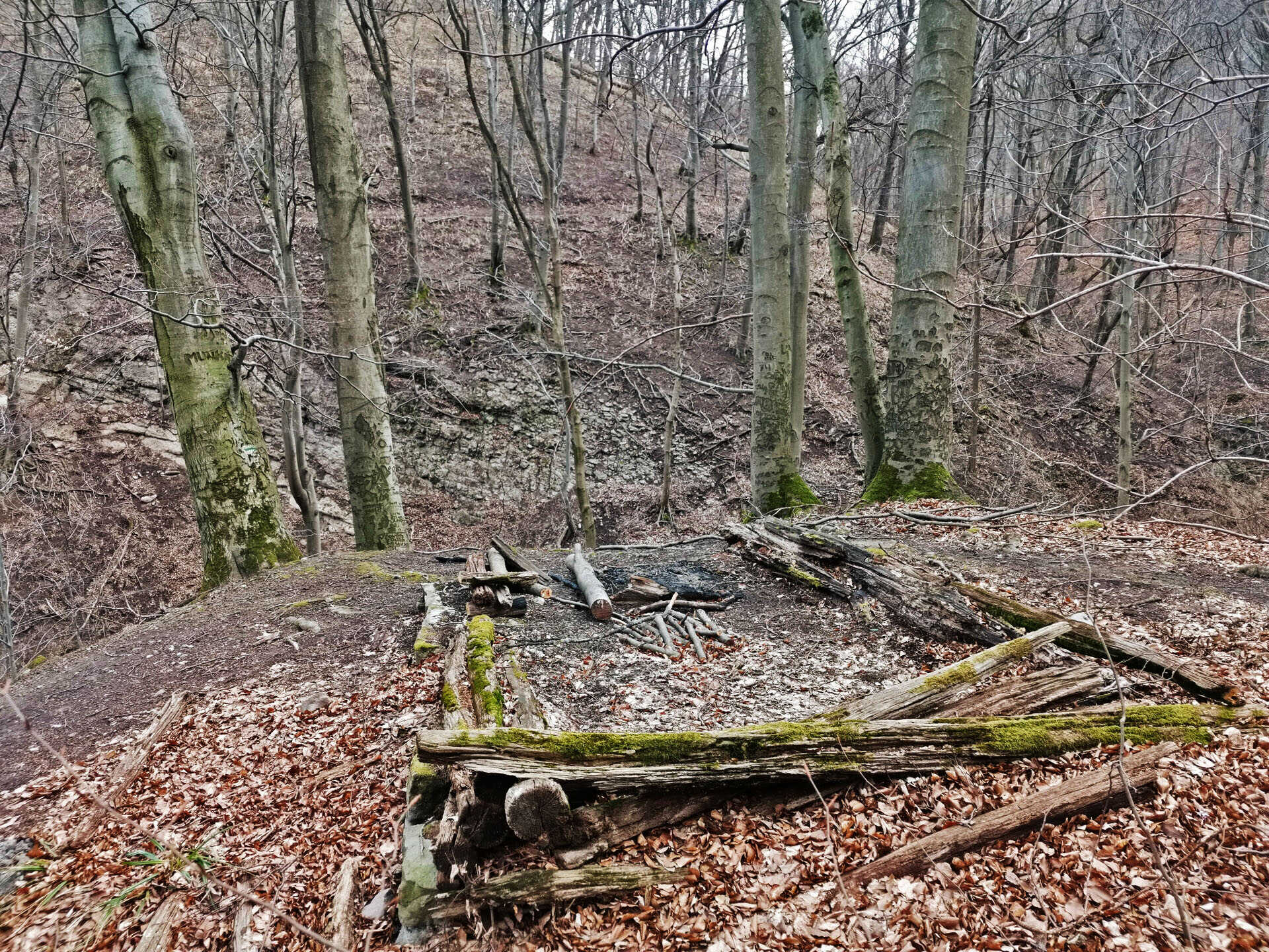 Kalicsa-völgyi erdőmerülés a Visegrádi-hegység mélyén-5