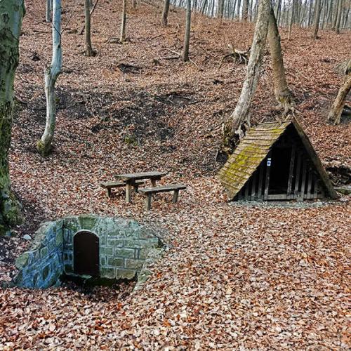 Kalicsa-völgyi erdőmerülés a Visegrádi-hegység mélyén