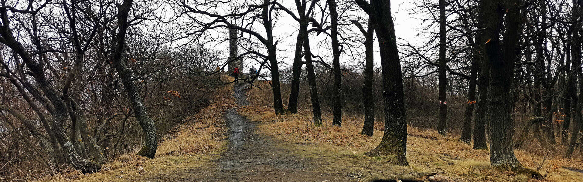 Túra Szentendréről Leányfalura a Vöröskőn át