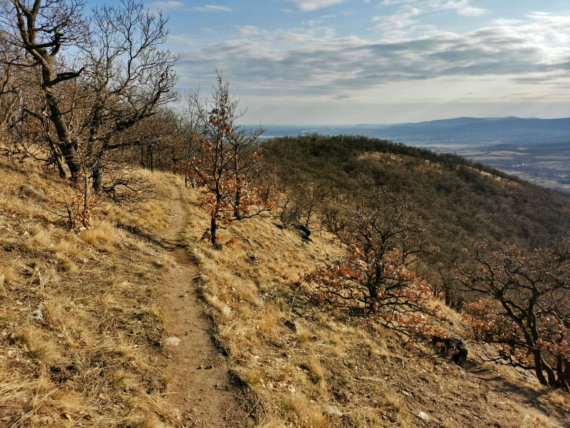 Skanzen kör az Asztal-kőre és a Nyerges-hegyre-3