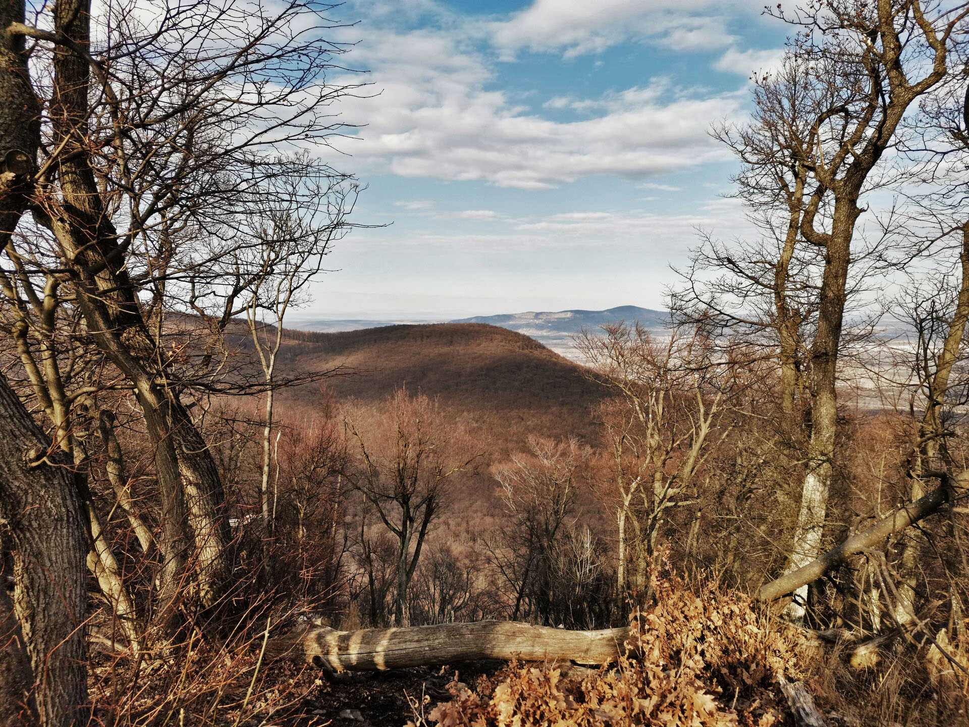 Skanzen kör az Asztal-kőre és a Nyerges-hegyre-6