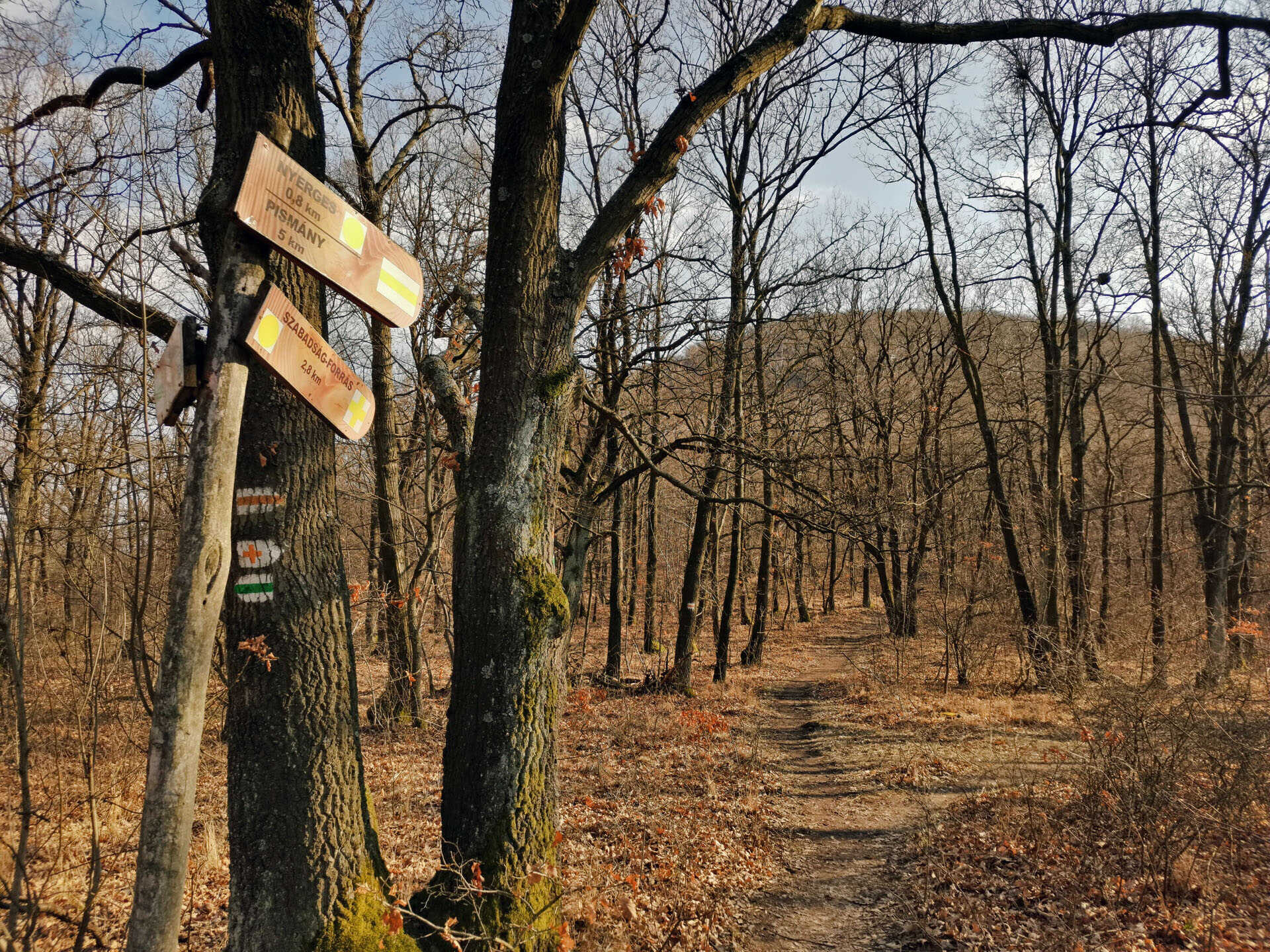 Skanzen kör az Asztal-kőre és a Nyerges-hegyre-8