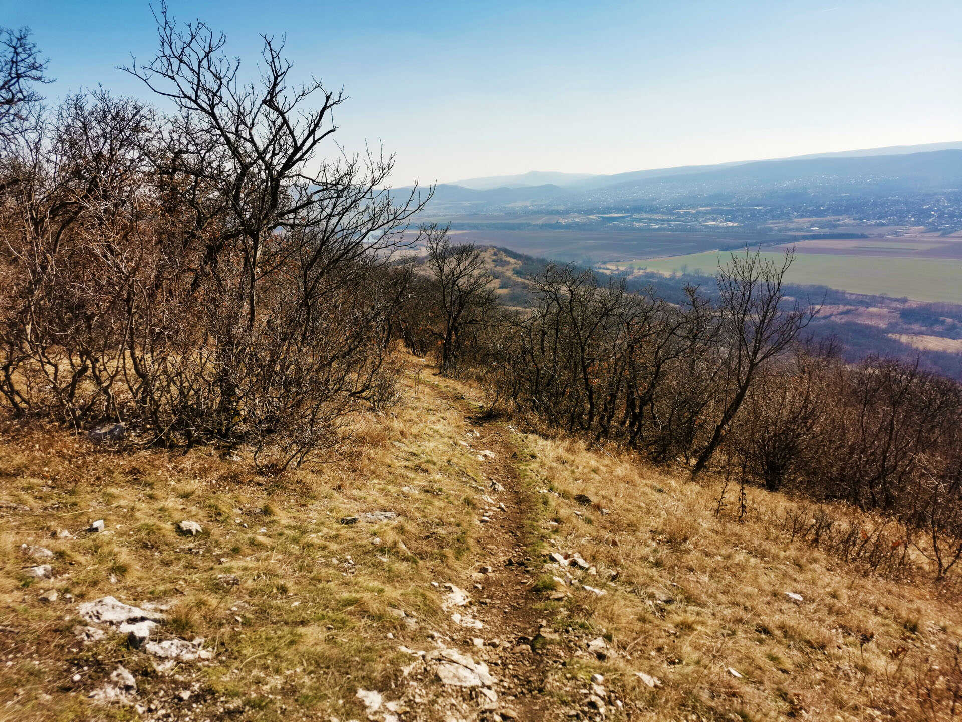 Túra a Csobánkai Szentkúthoz és a Ziribárra-5