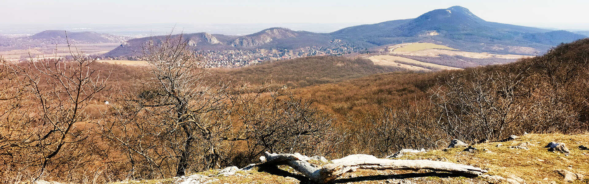 Túra a Csobánkai Szentkúthoz és a Ziribárra