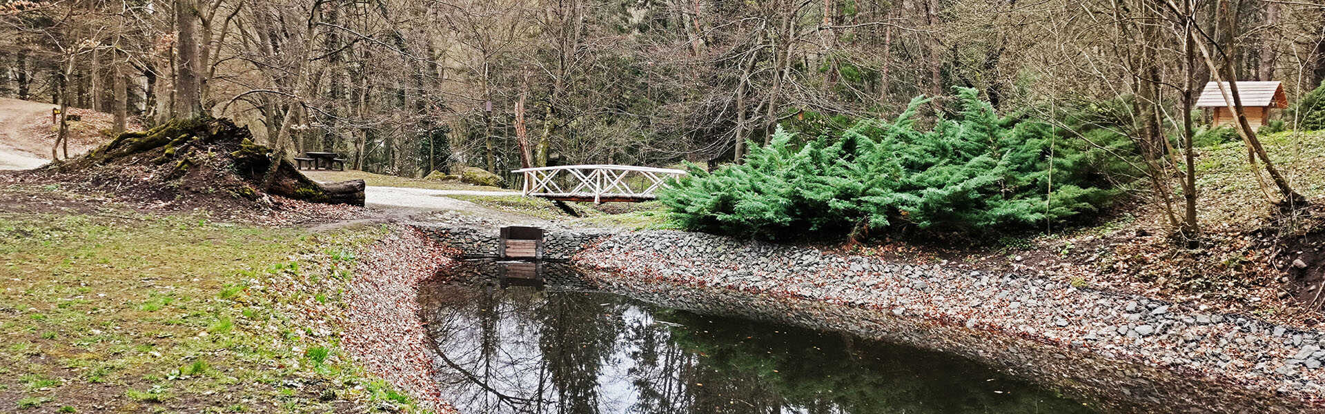 Körtúra a Bertényi füvészkertben és az Erdőanyai tanösvényen