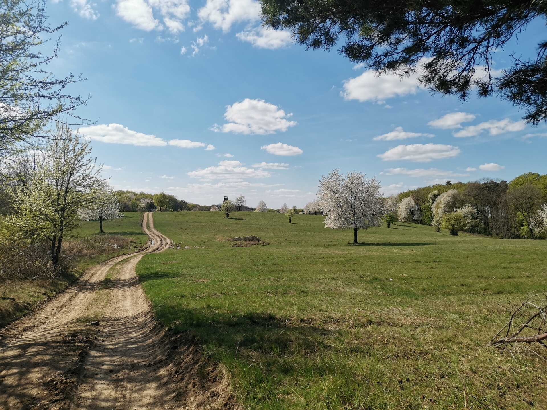 Felfedező túra a Csárda-hegyi őskarszthoz-3