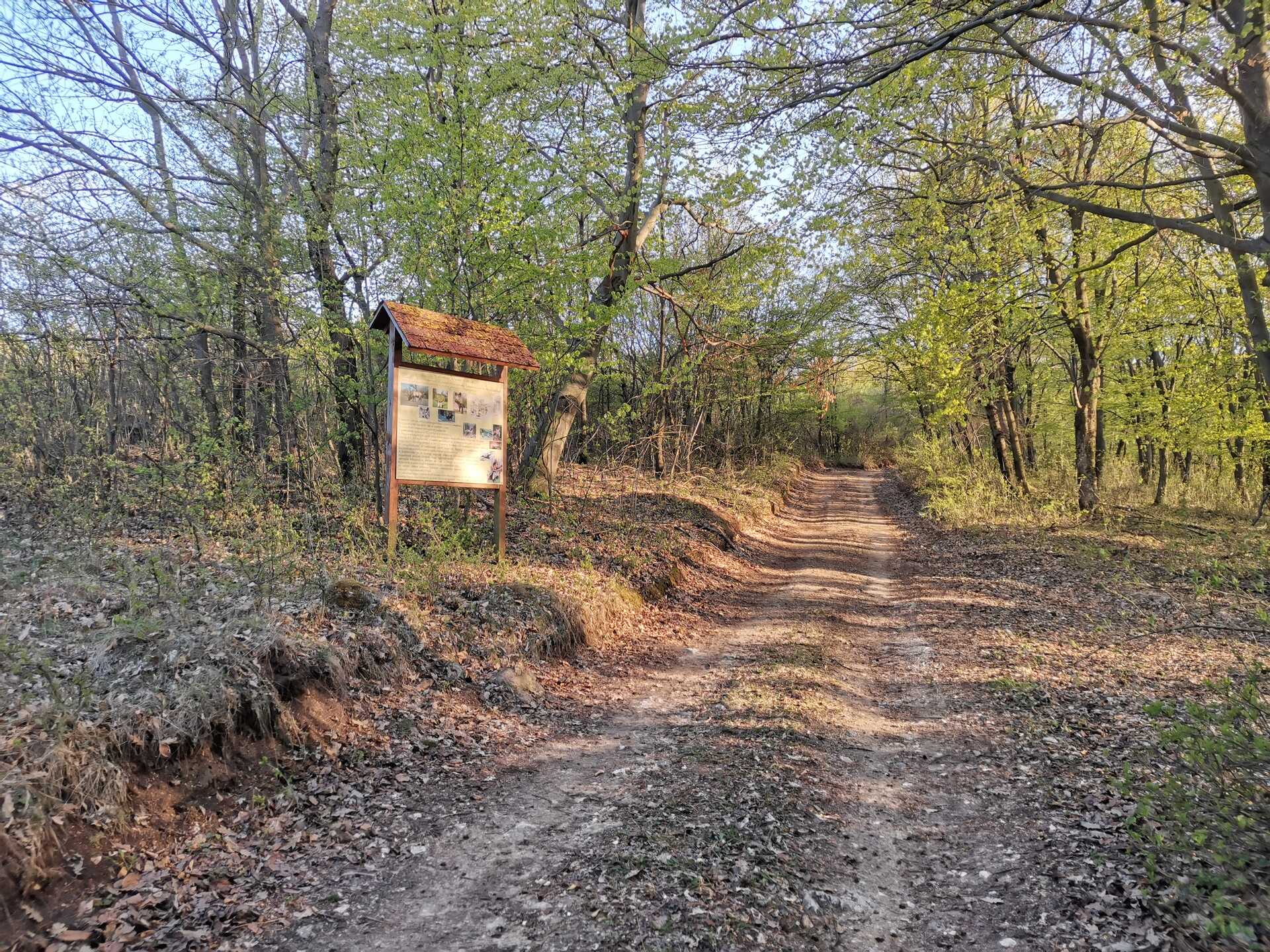 Felfedező túra a Csárda-hegyi őskarszthoz-6