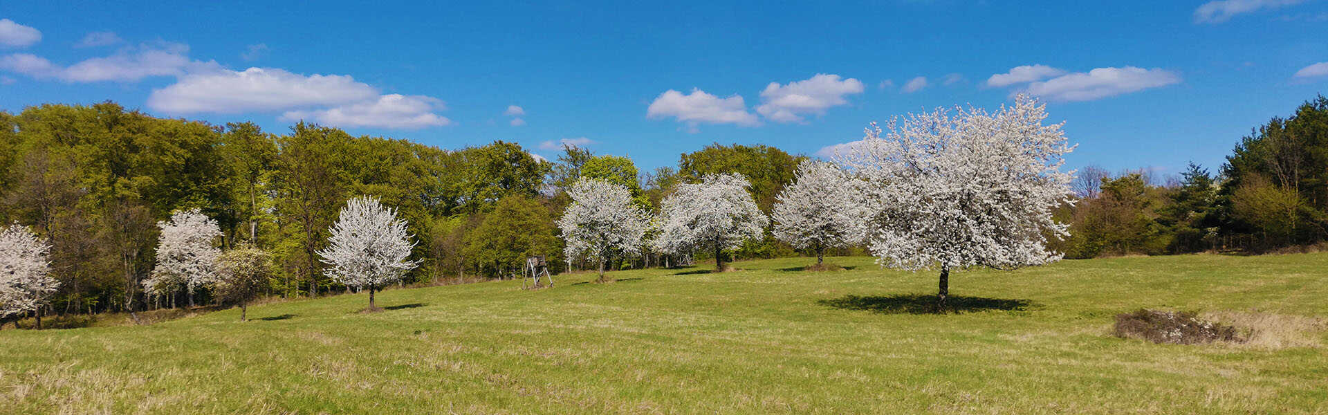 Felfedező túra a Csárda-hegyi őskarszthoz