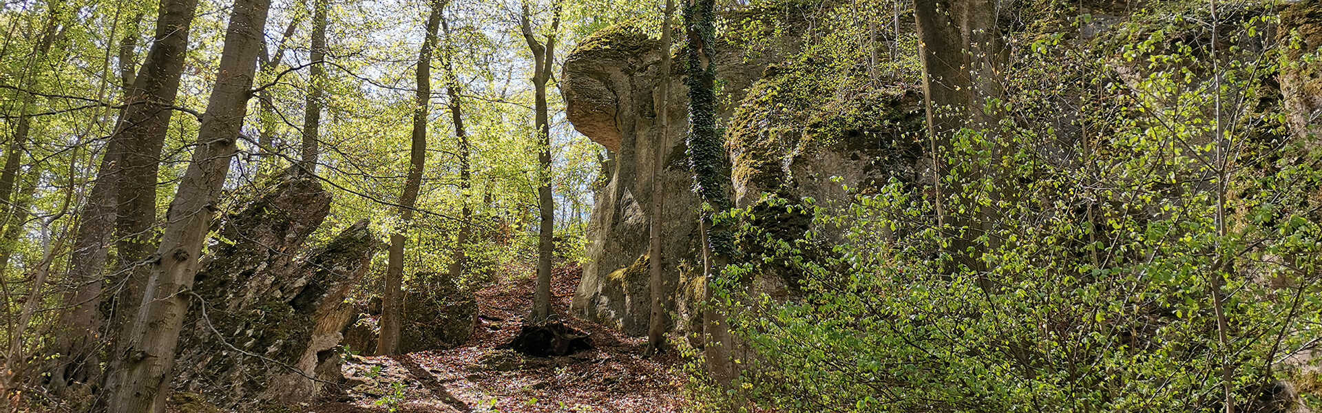 A Padragi sziklák és a Bújó-lik felfedezése