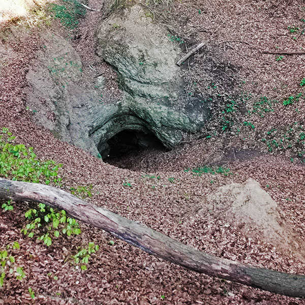 Túra a Macskalik barlanghoz a magyar Mauna Kea oldalában