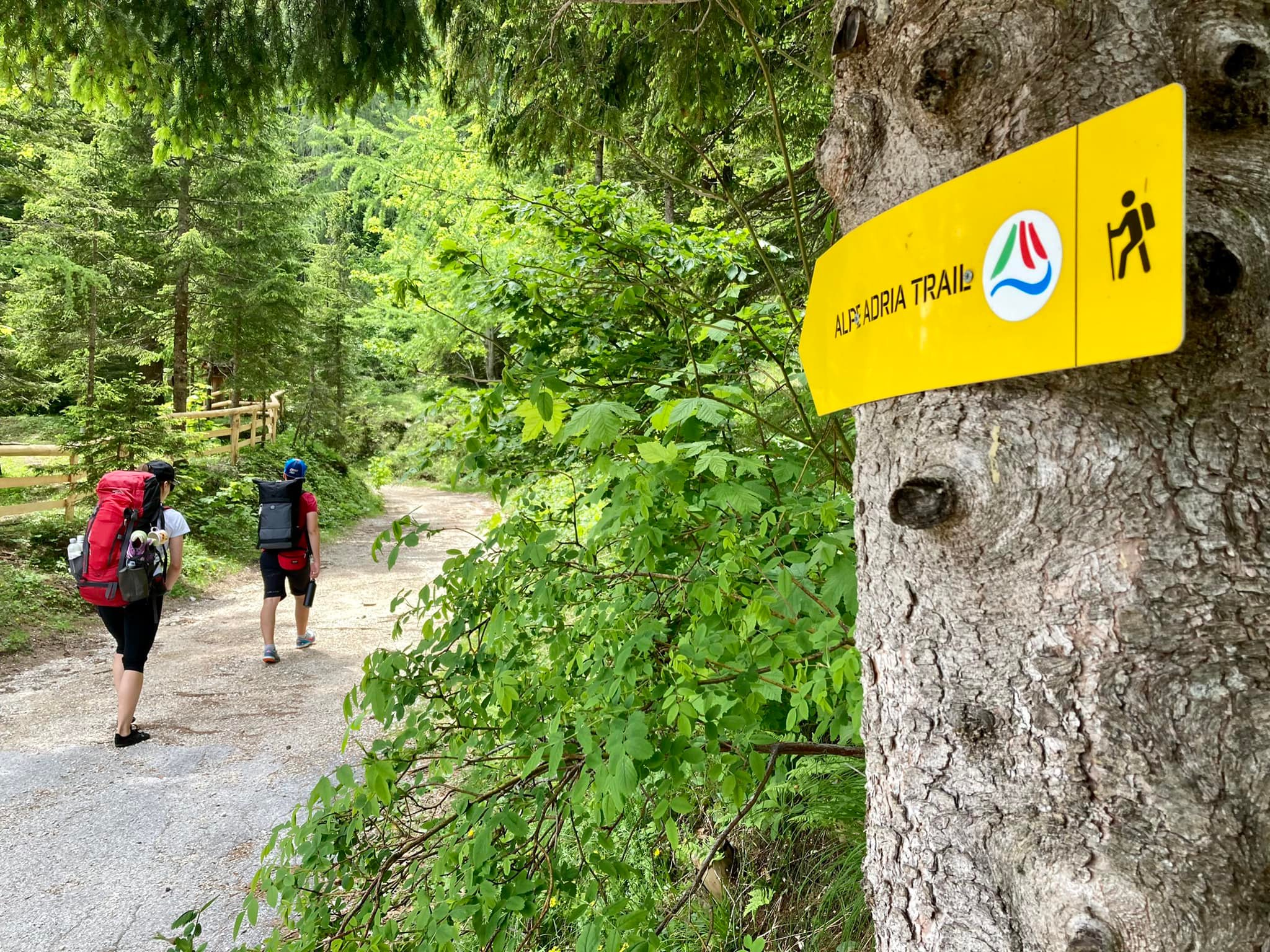 Alpok Adria Trail ST23 - Kranjska Gora-Trenta-9