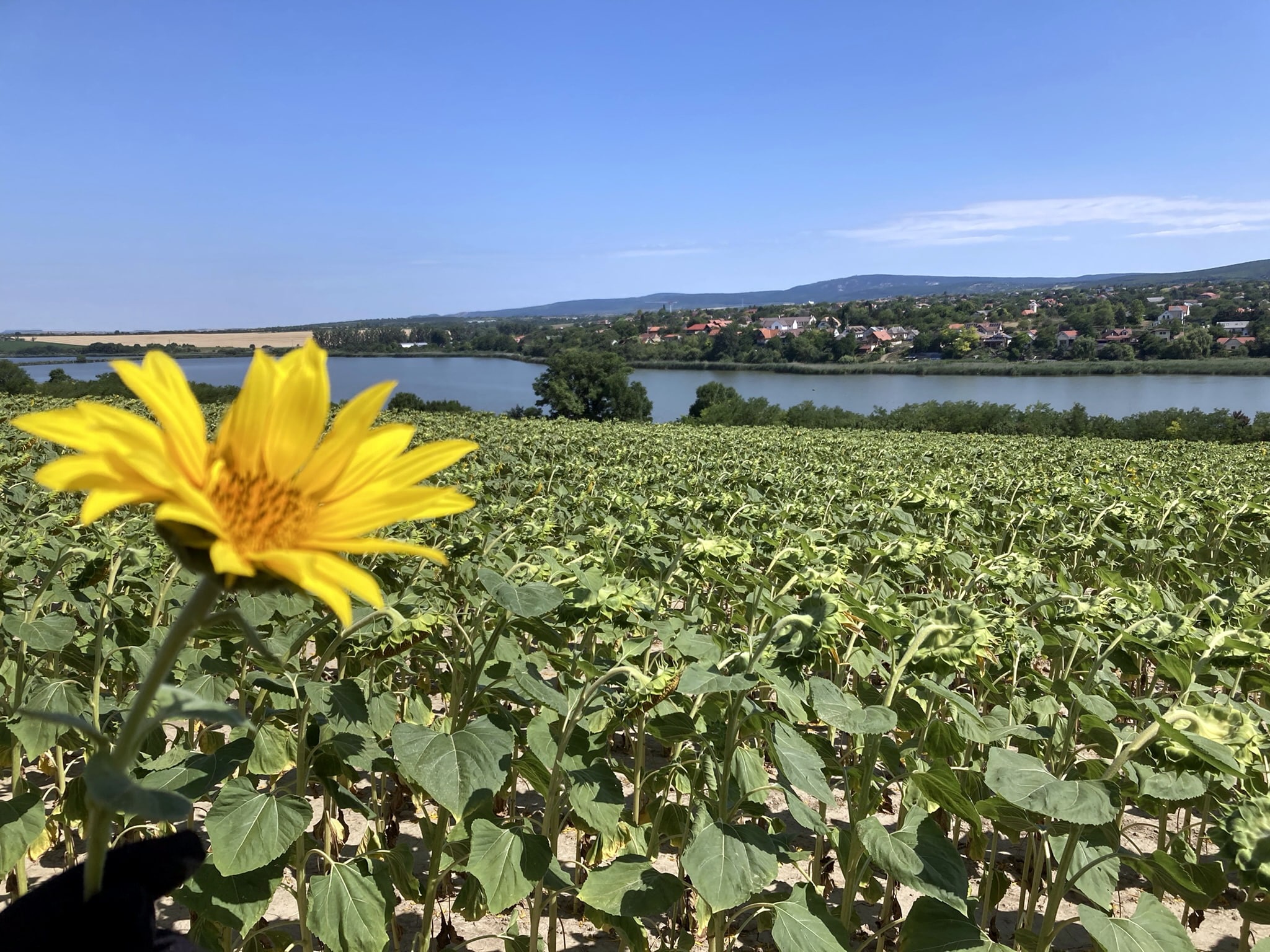 Kerékpárral a Fővárosból a Velencei-tóhoz-5