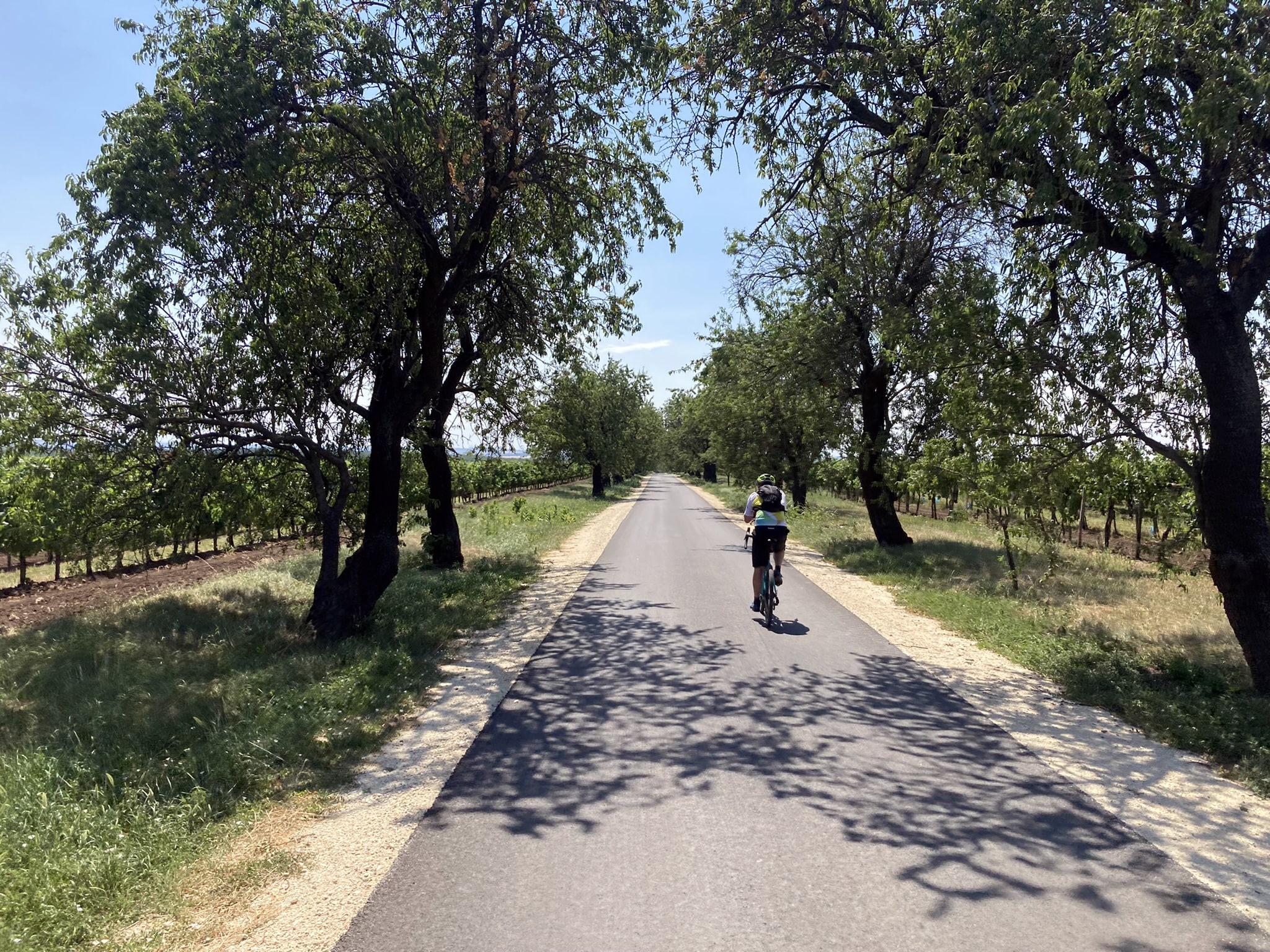 Kerékpárral a Fővárosból a Velencei-tóhoz-6