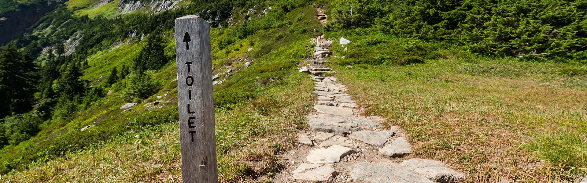 Kisdolog, nagydolog az erdőkben