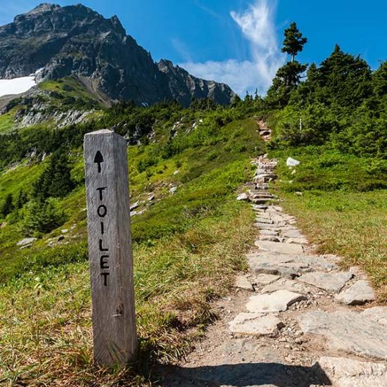 Kisdolog, nagydolog az erdőkben