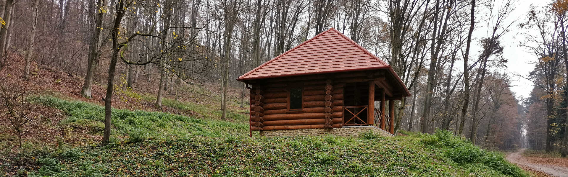 Erdei házikó az Ödön-forrás mellett