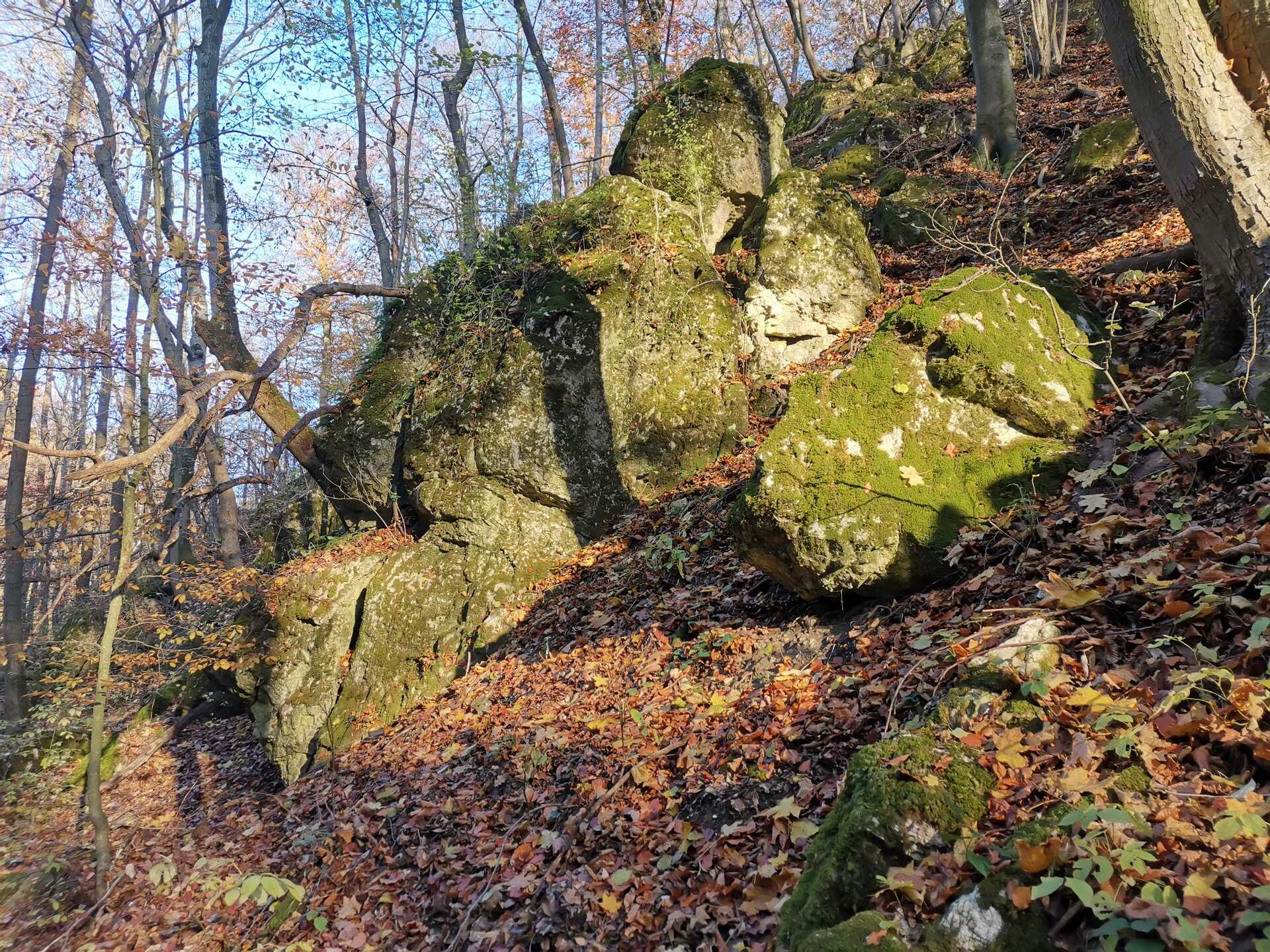 Körtúra a Zörög-hegyre és a Cuha-völgy alsó szurdokába-5