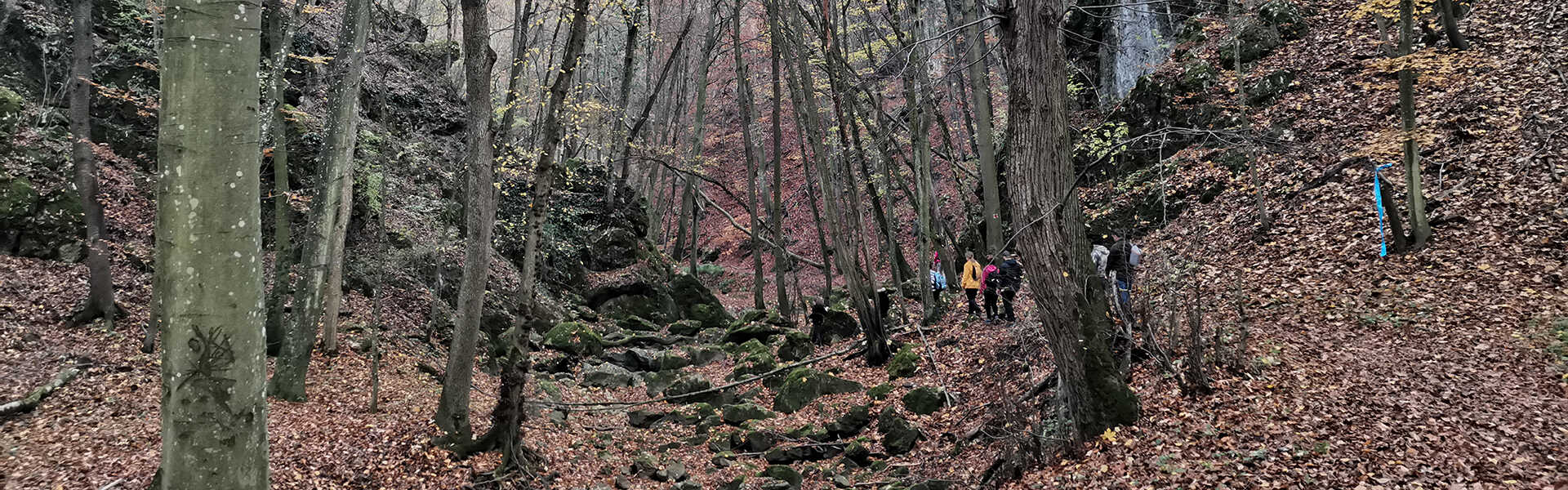 Körtúra a Zörög-hegyre és a Cuha-völgy alsó szurdokába