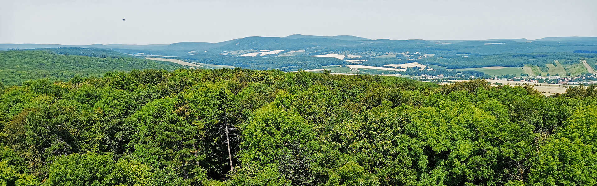 Túra a Papodi kilátóba