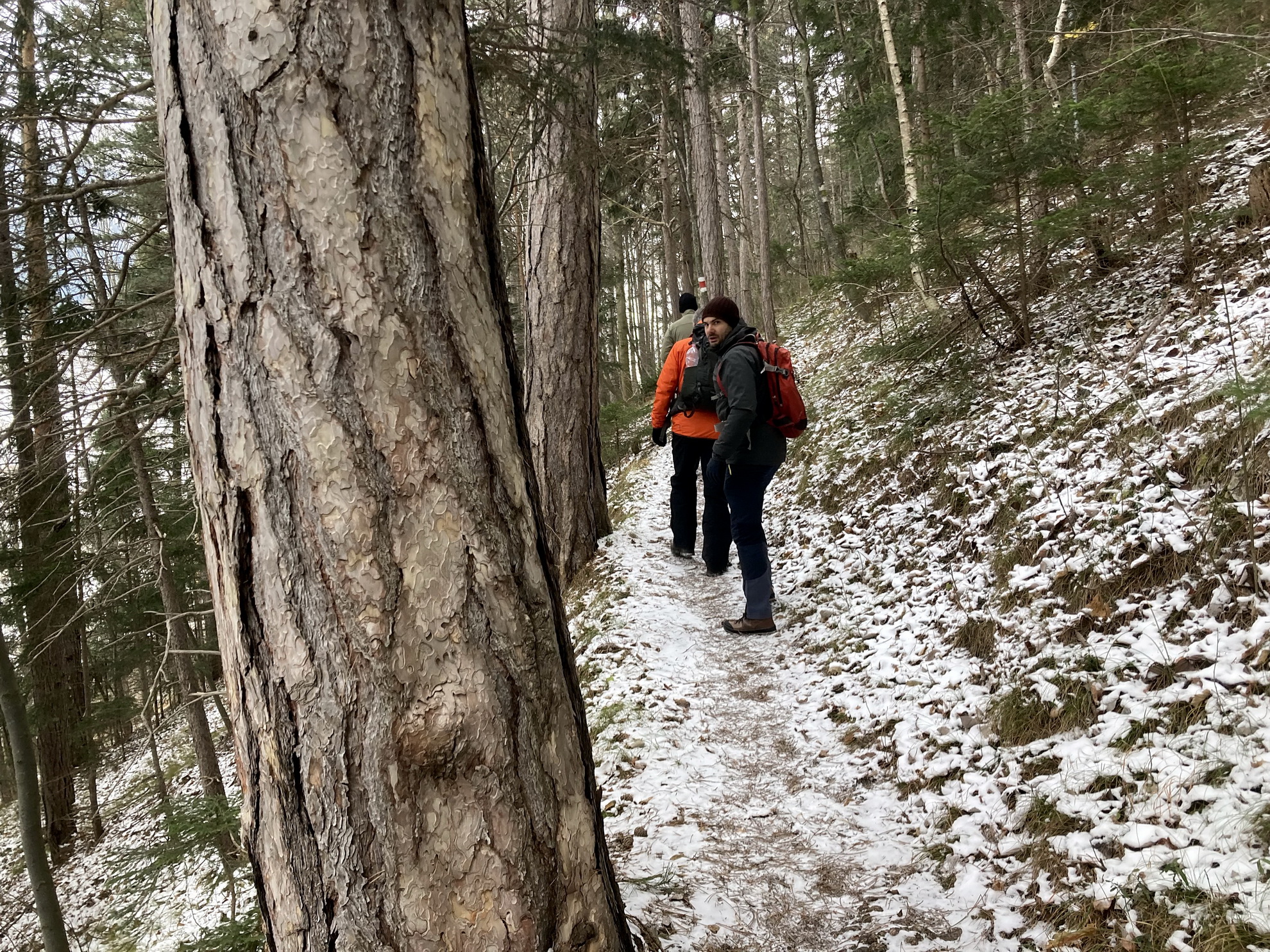 Könnyed túra a Himberg csúcsára-1