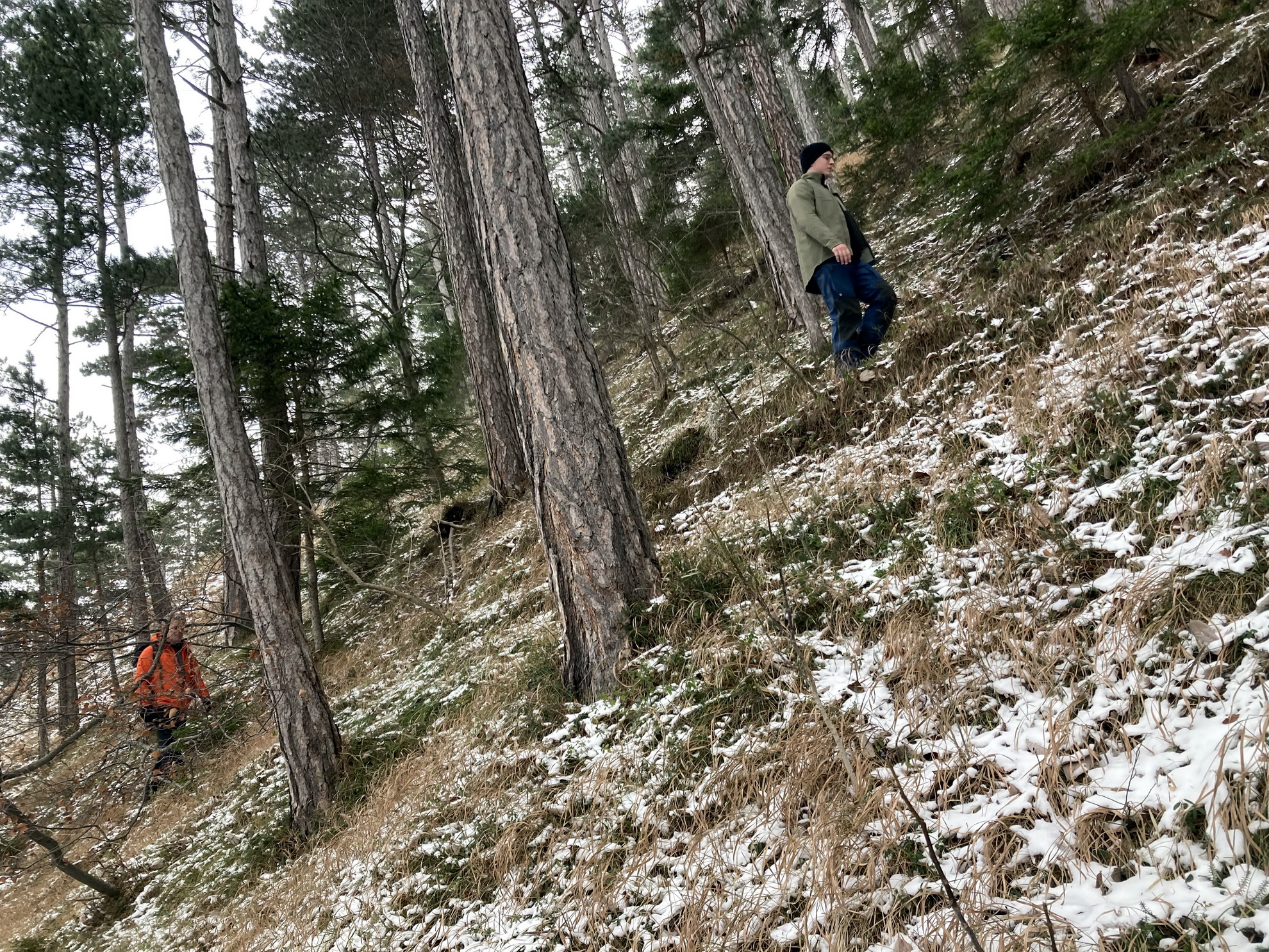 Könnyed túra a Himberg csúcsára-3