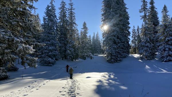 Hótalpas túra Alsó-Ausztria legmagasabb hegyére