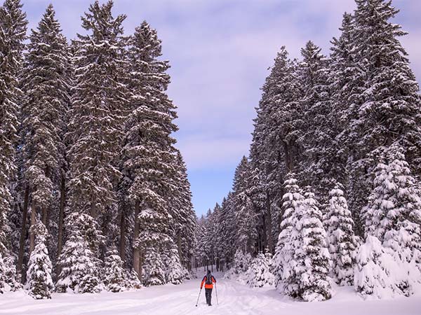 Öt szlovén síközpont közös síbérlettel rukkolt elő!