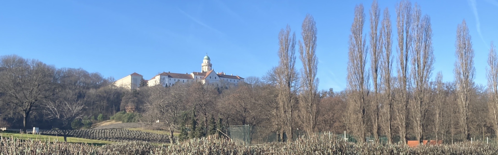 Pannonhalmi arborétum körtúra