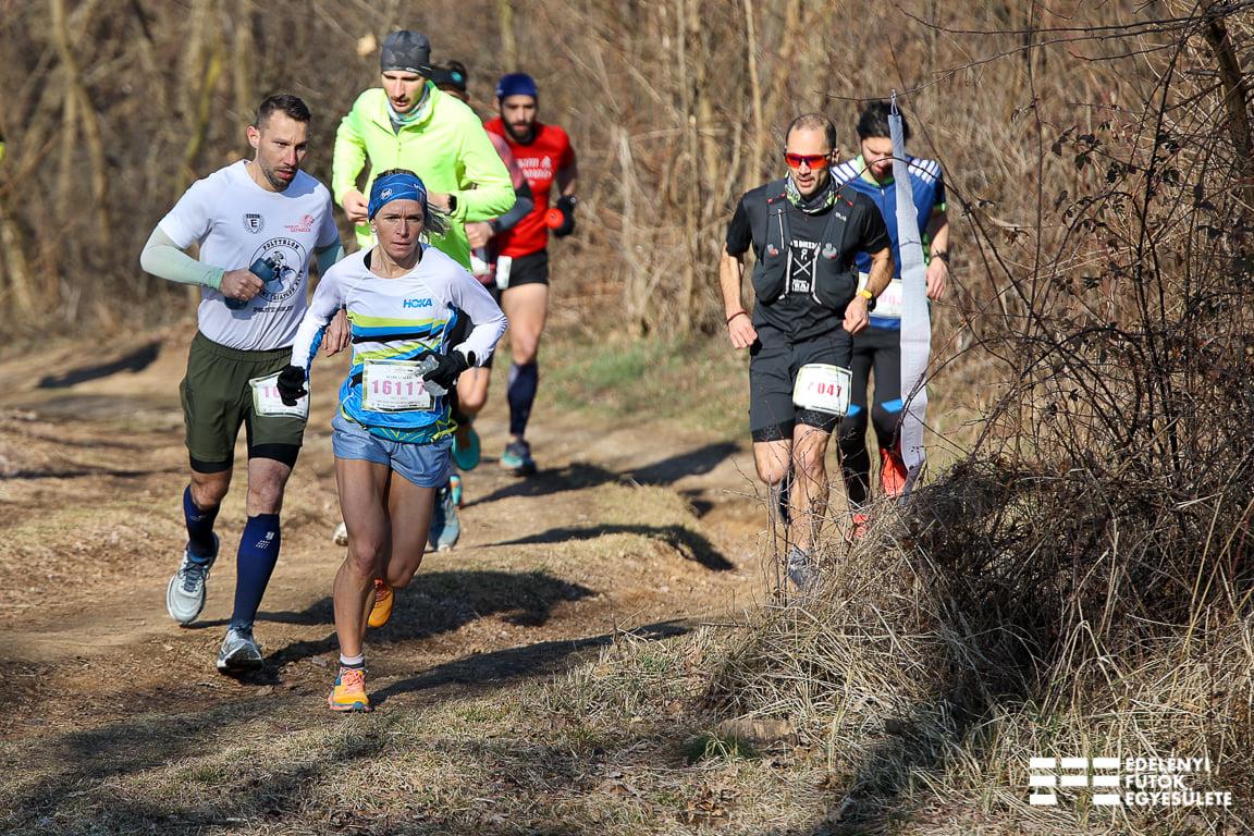 V. Fedrid Császta Trailimg