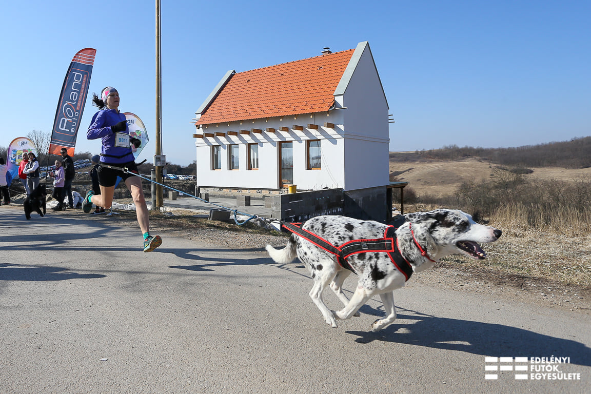 V. Fedrid Császta Trailimg