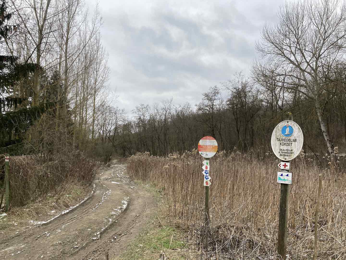 Győrújbarát Varázsvölgy, Árpád-kút, Lila-hegyi kilátó-4