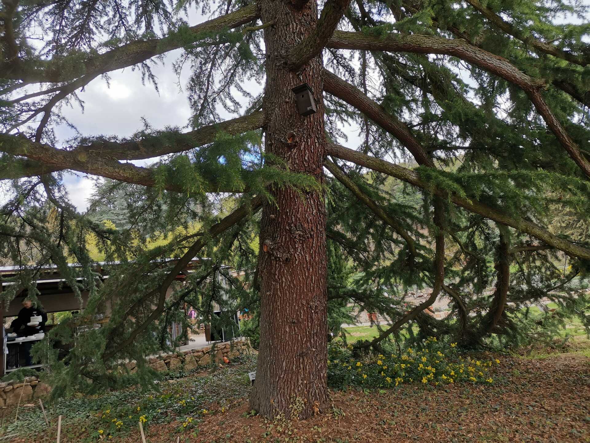 Folly arborétum, egzótakert a Balaton-felvidéken-3