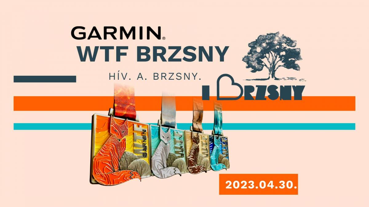 Garmin WTF BRZSNYimg