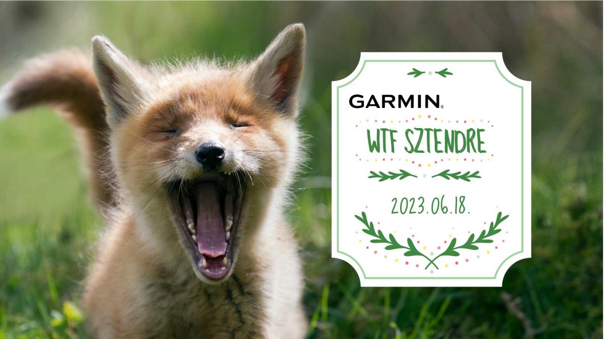 Garmin WTF SzTendreimg