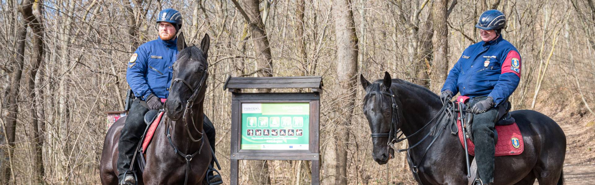 A Budai-hegyekben lovasrendőrök ügyelnek az erdő nyugalmára