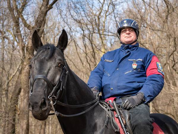 A Budai-hegyekben lovasrendőrök ügyelnek az erdő nyugalmára