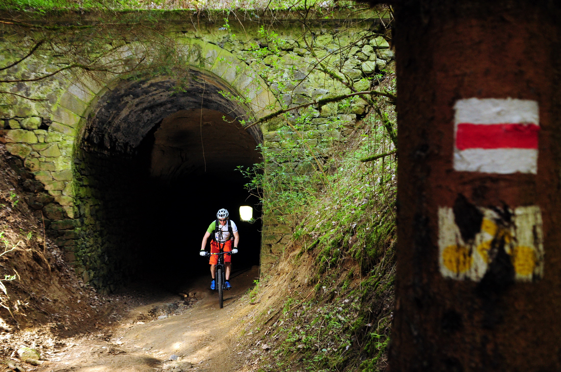 DT Swiss MedvésTrail MTB és terepfutó Challenge-3