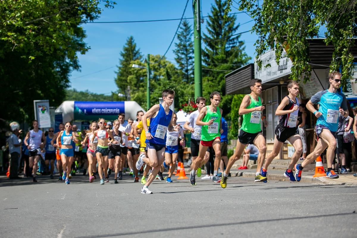 26. Kékes Csúcsfutás és Kékes Csúcsfutás Trailimg