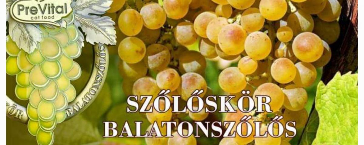 X. PreVital Szőlőskör  Jubileumimg