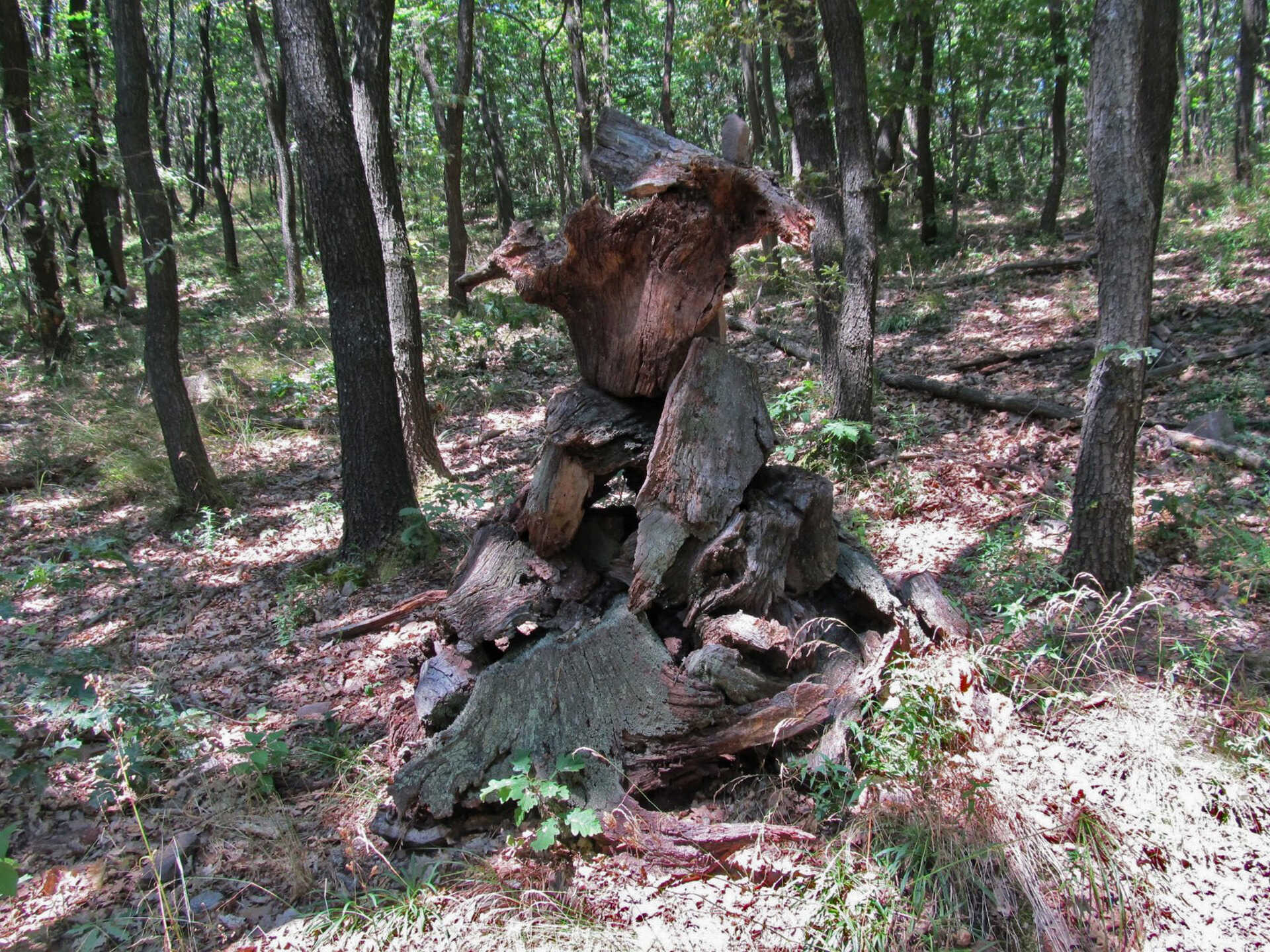 Túra az Éger-völgyből a Jakab-hegyre-4