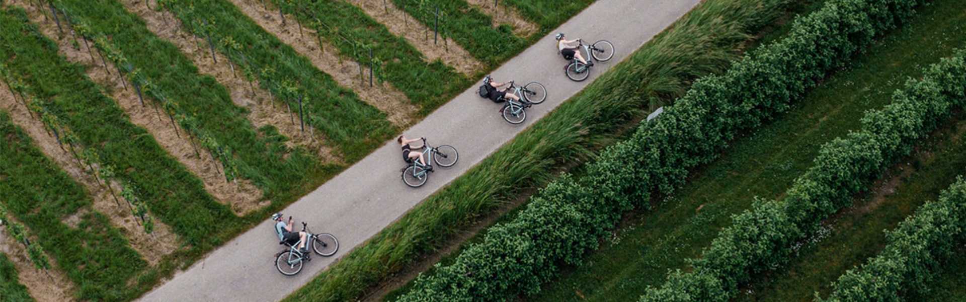Jöjjön a nyaralás, jöjjön a kerékpár!