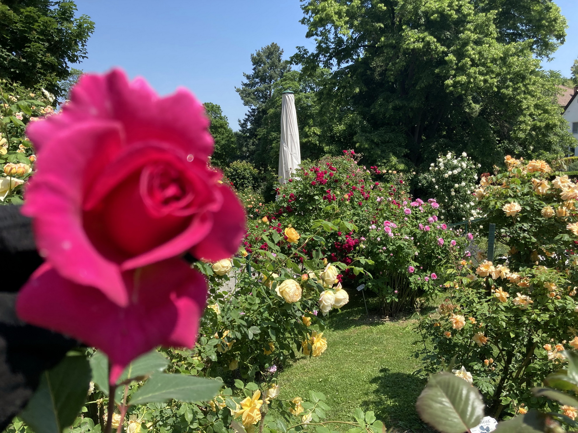 Eperföldek, rózsá és fürdők, avagy a Rosalia kerékpárút-5