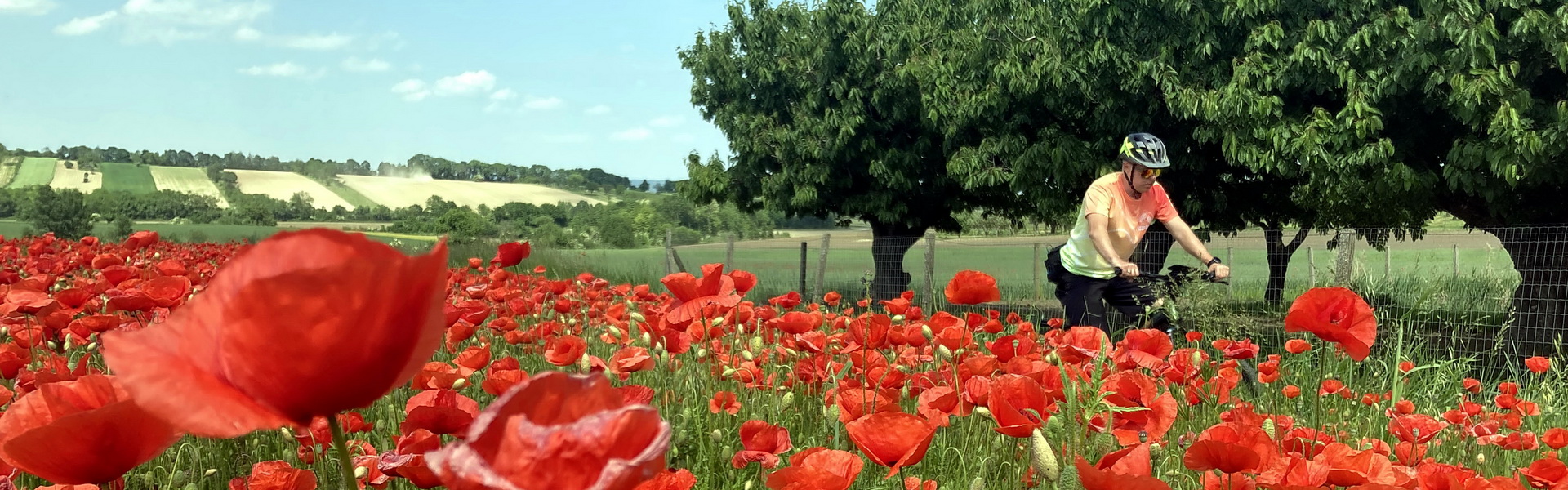 Közép-burgenlandi kerékpáros kalandok