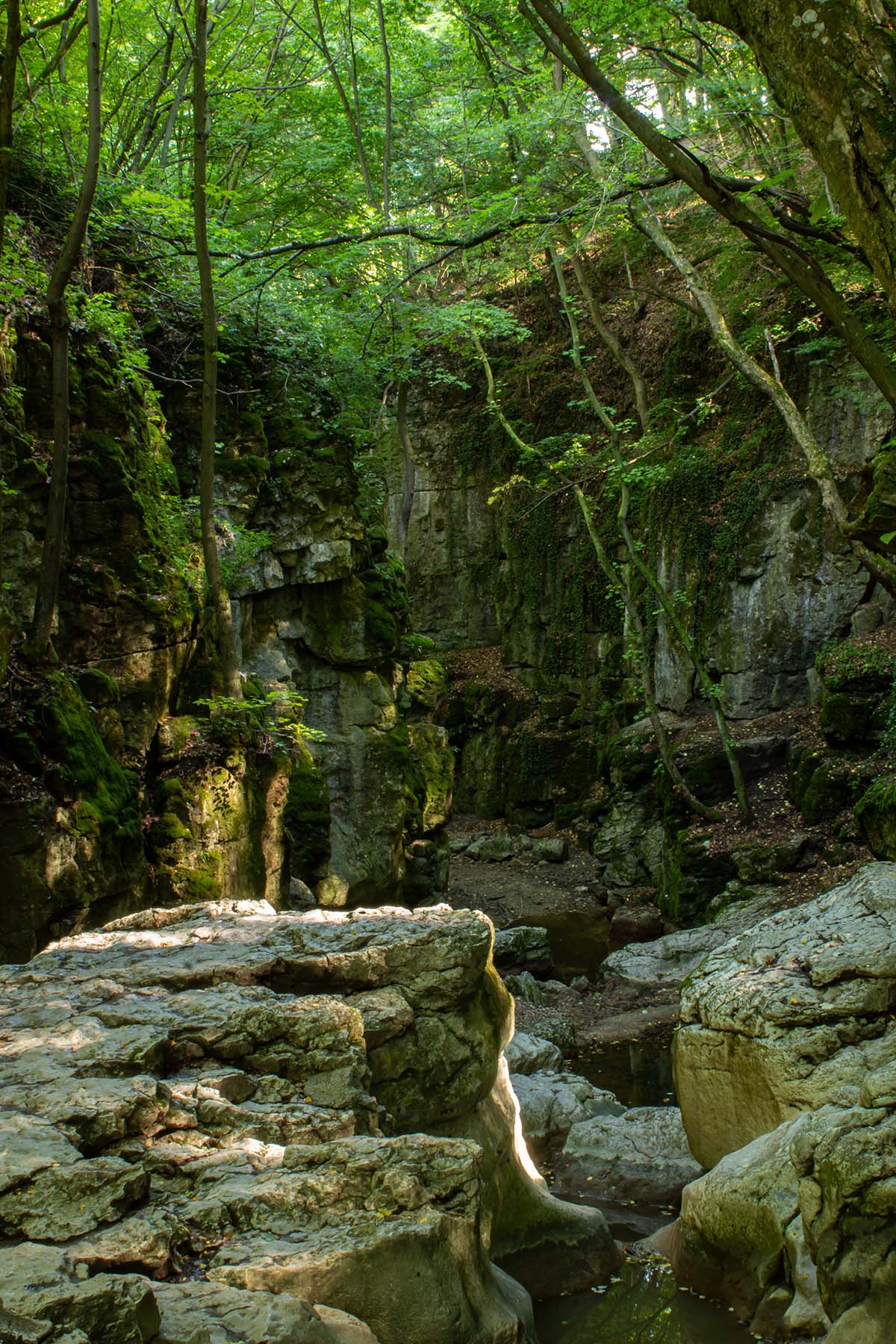 SZelfi OFF Túra