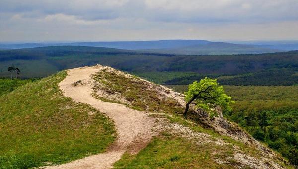 3 túra a Budai-hegységben