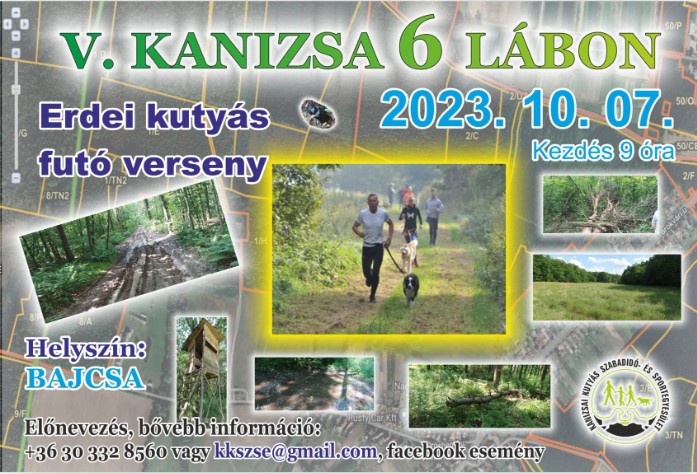 V. Kanizsa 6 Lábonimg