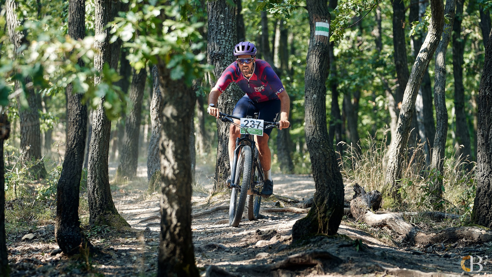 eBIKE.hu MTB és terepfutó Challenge - Diósjenő-6