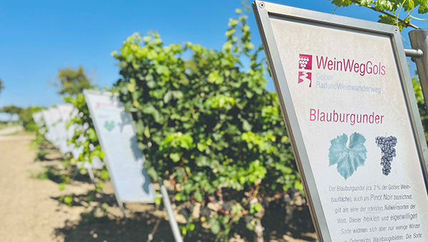 WeinWegGols túra és piknik